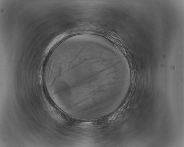 X0000084000054200703161659