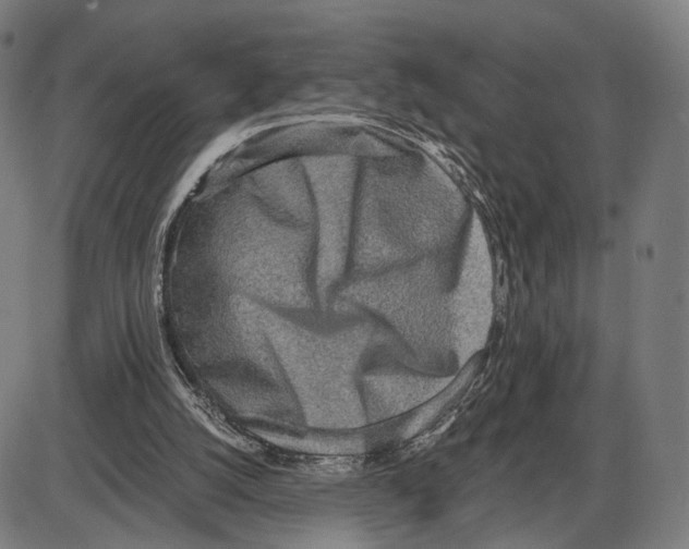 X0000084000056200703161659