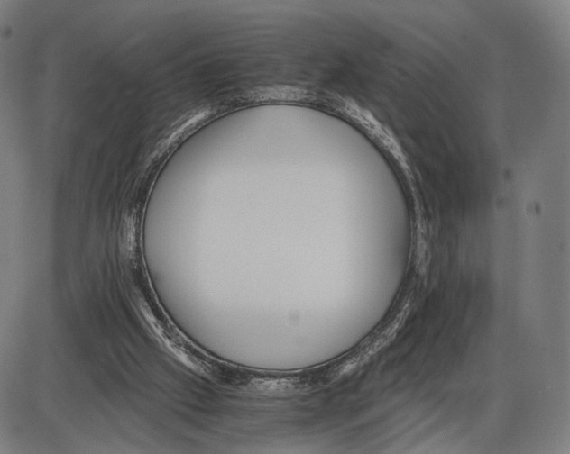 X0000084000057200703161659