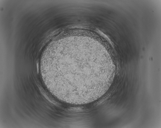 X0000084000061200703161659