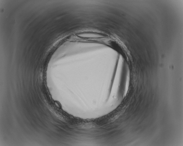 X0000084000063200703161659
