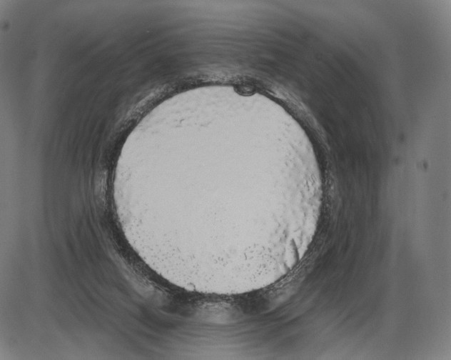 X0000084000066200703161659