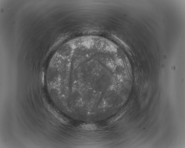 X0000084000067200703161659