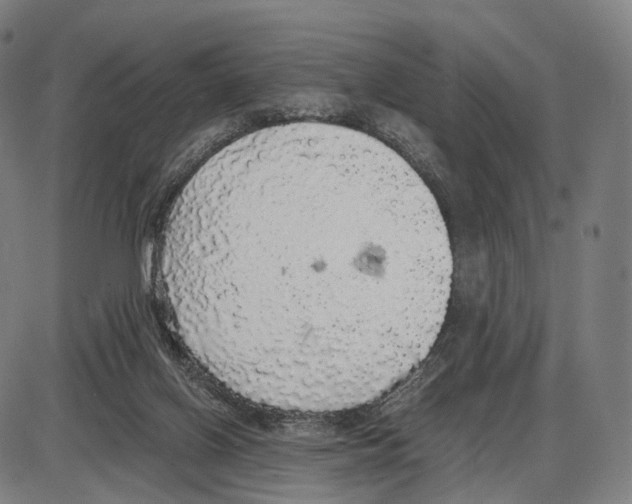 X0000084000070200703161659