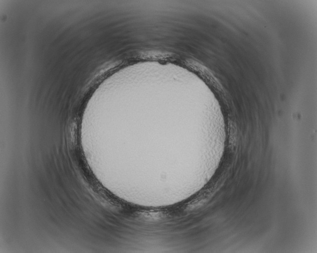 X0000084000071200703161659