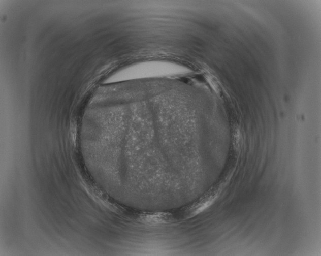 X0000084000072200703161659