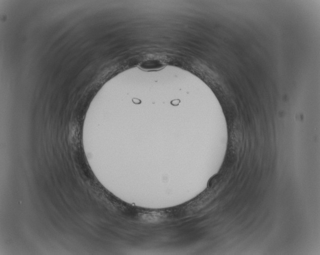 X0000084000079200703161659