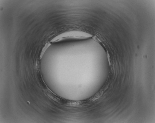 X0000084000084200703161659