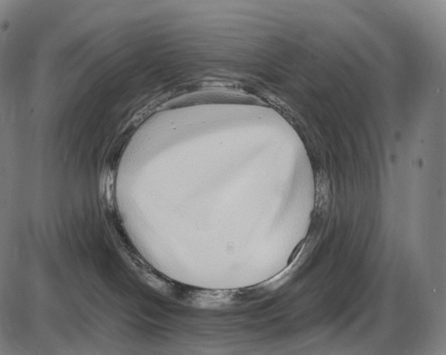 X0000084000094200703161659