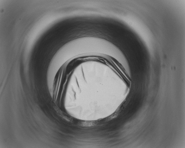 X0000084000095200703161659
