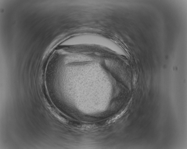 X0000084000101200703161658