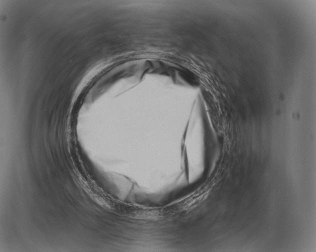 X0000084000102200703161658