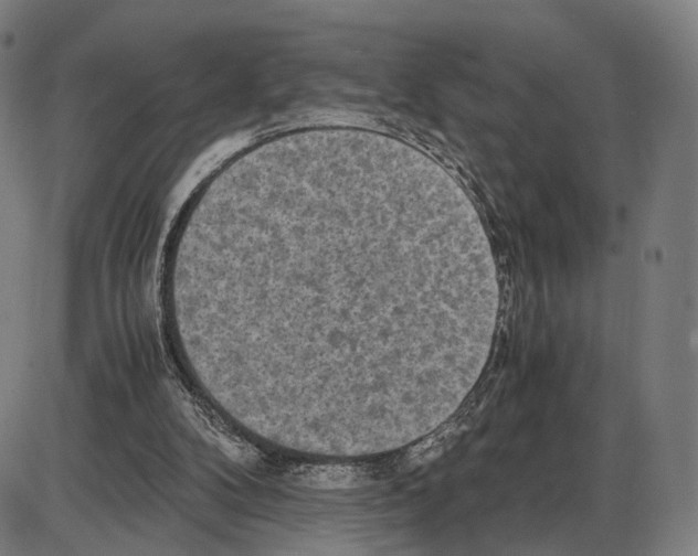 X0000084000104200703161658