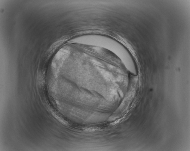 X0000084000105200703161658