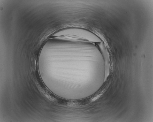 X0000084000109200703161658