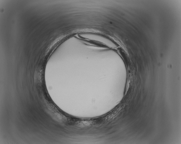 X0000084000111200703161658