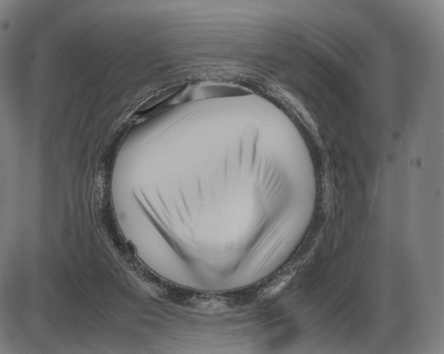 X0000084000113200703161658