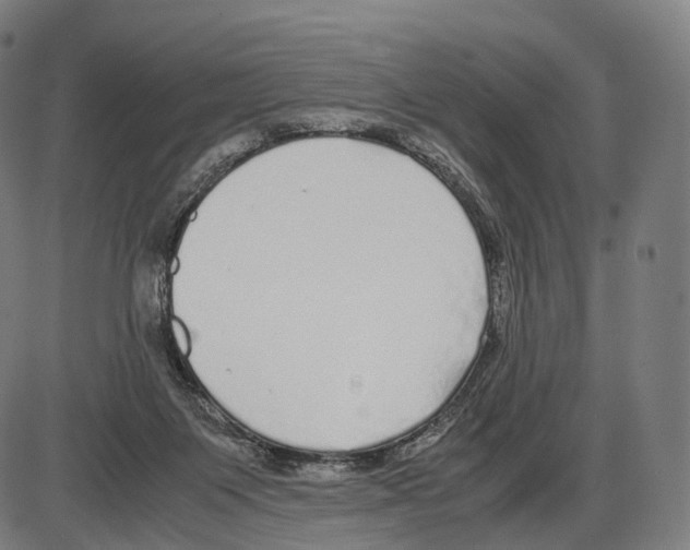 X0000084000119200703161658