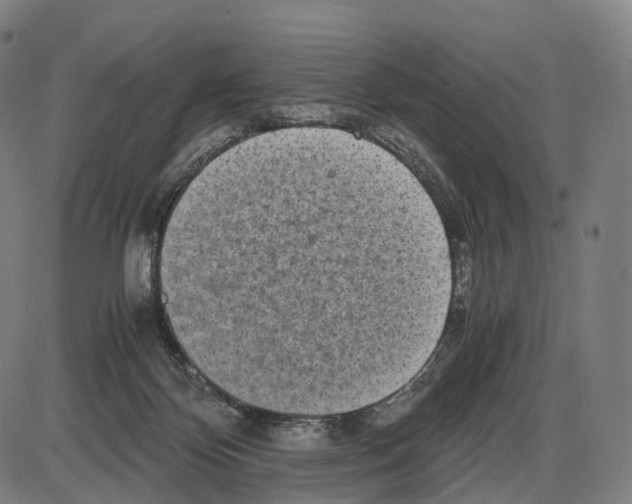 X0000084000124200703161658