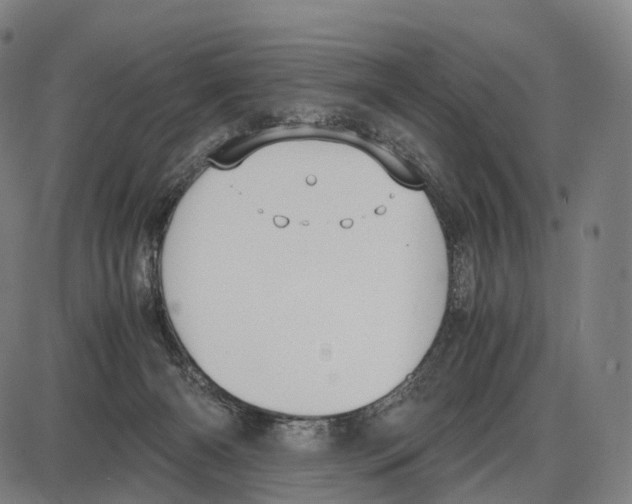 X0000084000126200703161658