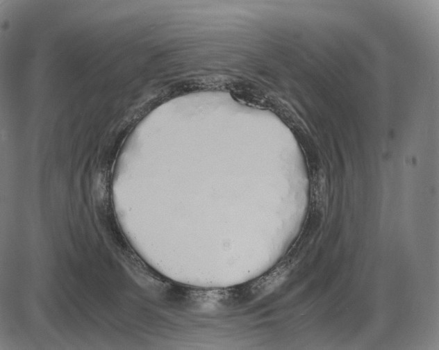 X0000084000131200703161658