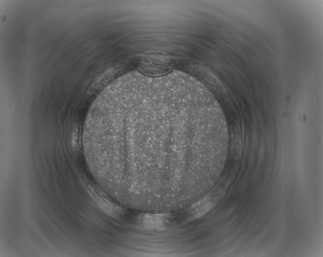 X0000084000134200703161658