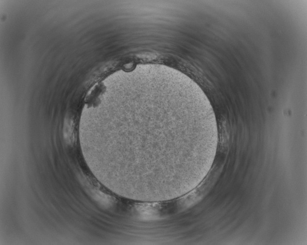 X0000084000136200703161658