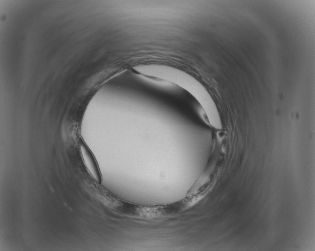 X0000084000141200703161658