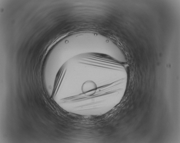 X0000084000146200703161657