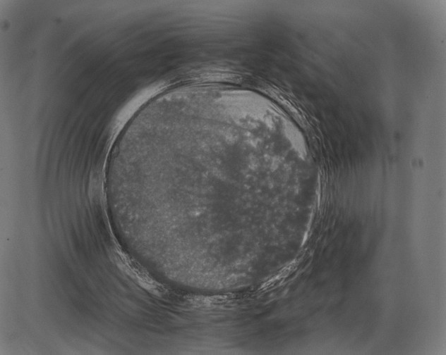 X0000084000147200703161657