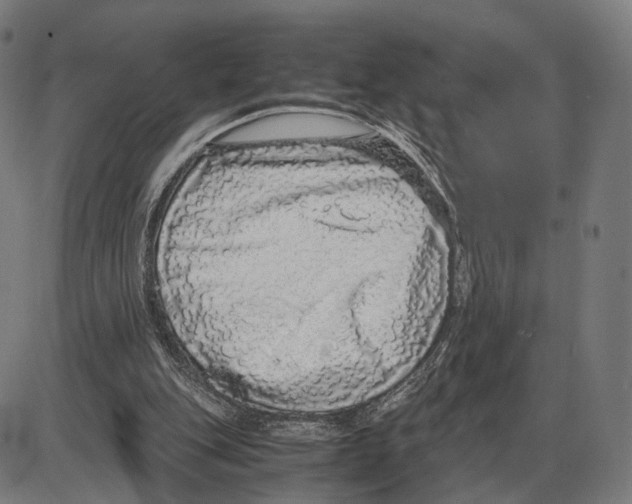 X0000084000151200703161657