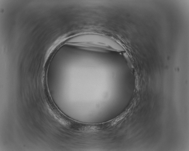 X0000084000152200703161657