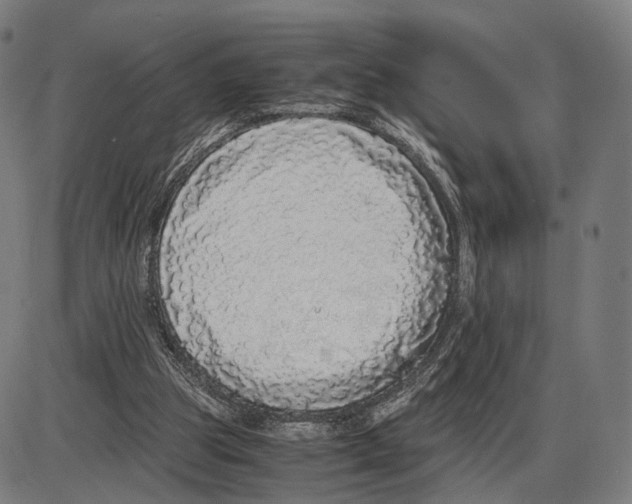 X0000084000153200703161657