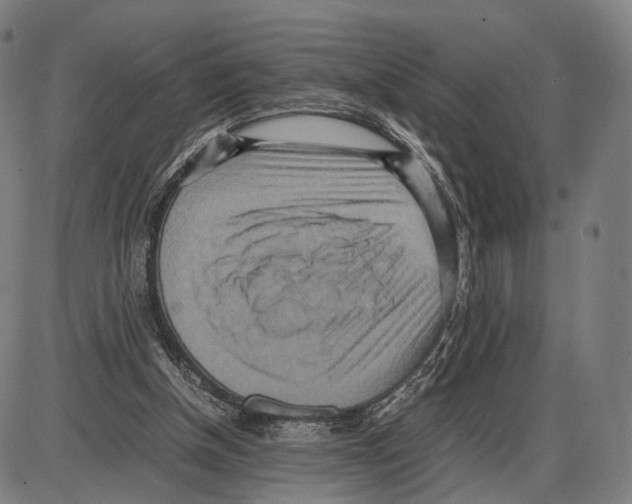 X0000084000154200703161657