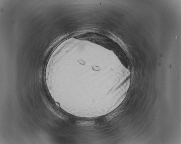 X0000084000155200703161657
