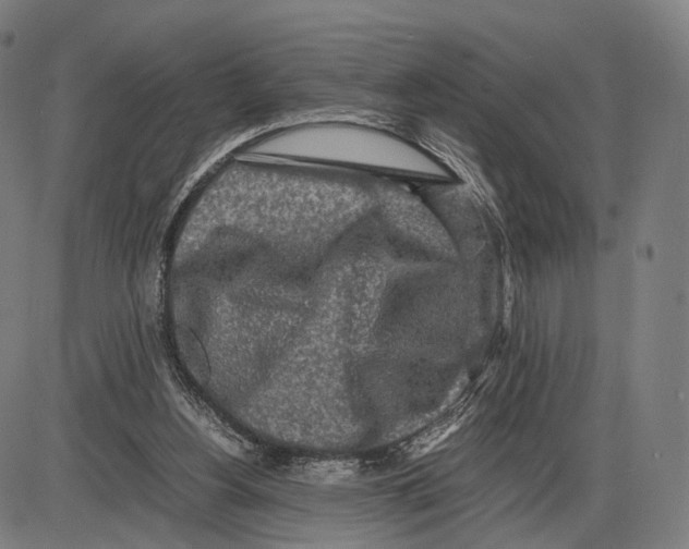 X0000084000156200703161657