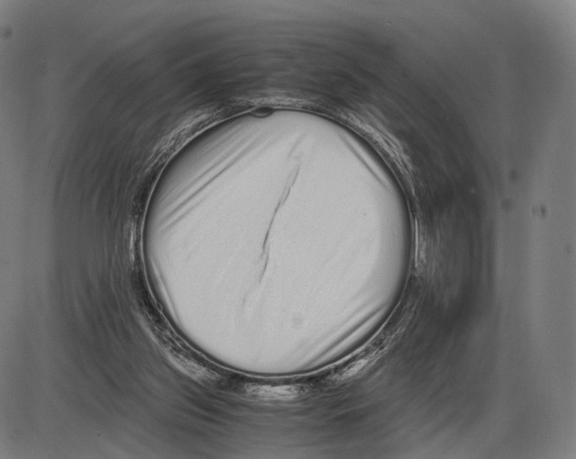 X0000084000157200703161657