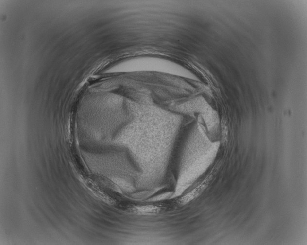 X0000084000158200703161657