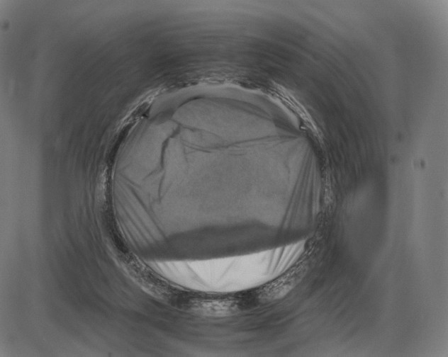 X0000084000163200703161657
