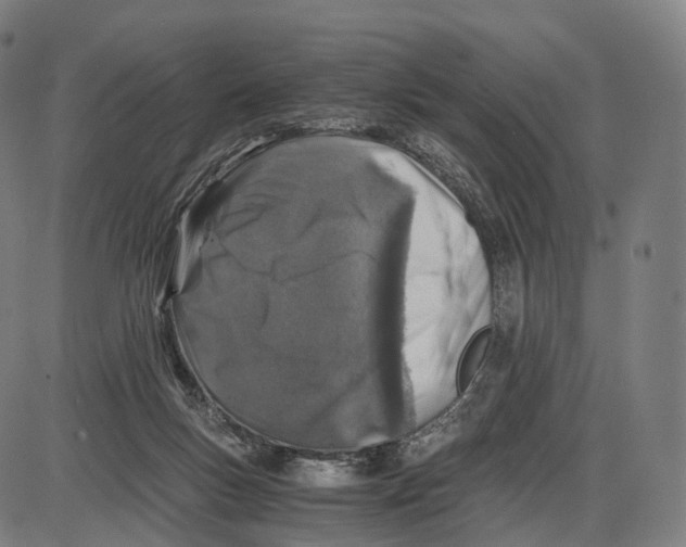 X0000084000167200703161657