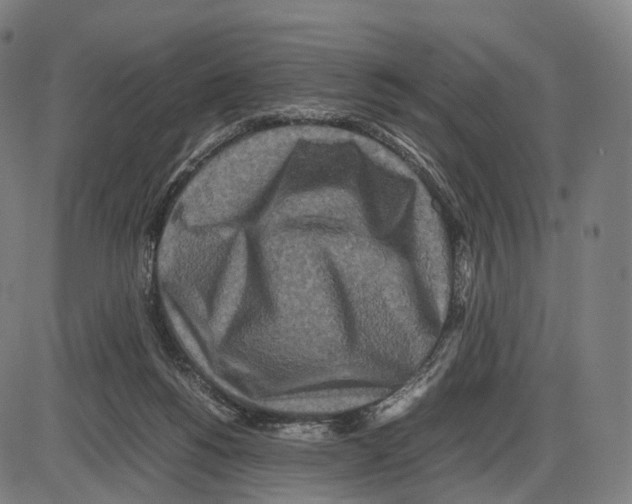 X0000084000168200703161657