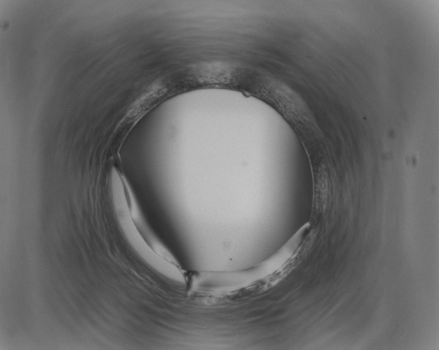 X0000084000172200703161657