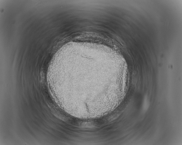 X0000084000173200703161657