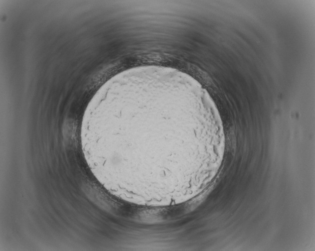 X0000084000178200703161657