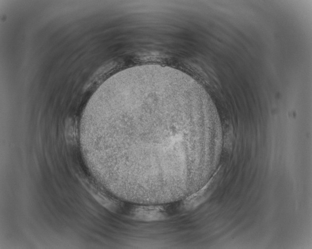X0000084000179200703161657