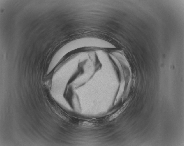X0000084000180200703161657