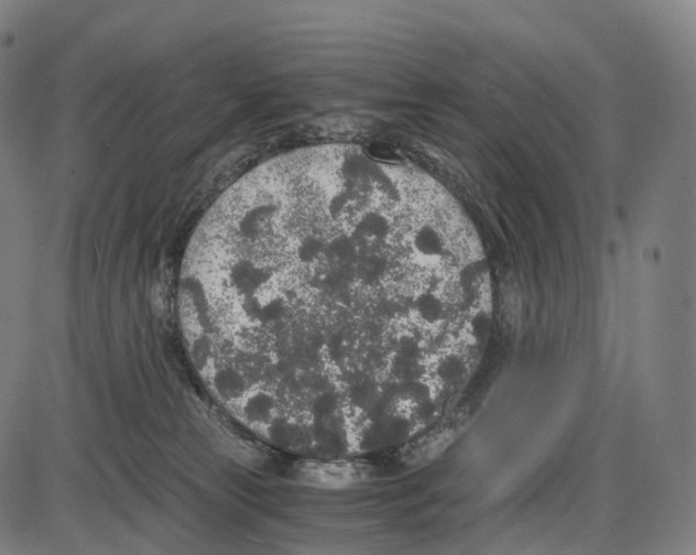 X0000084000181200703161657