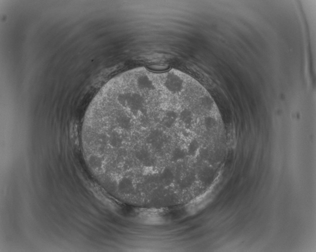 X0000084000182200703161657