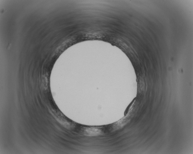 X0000084000183200703161657