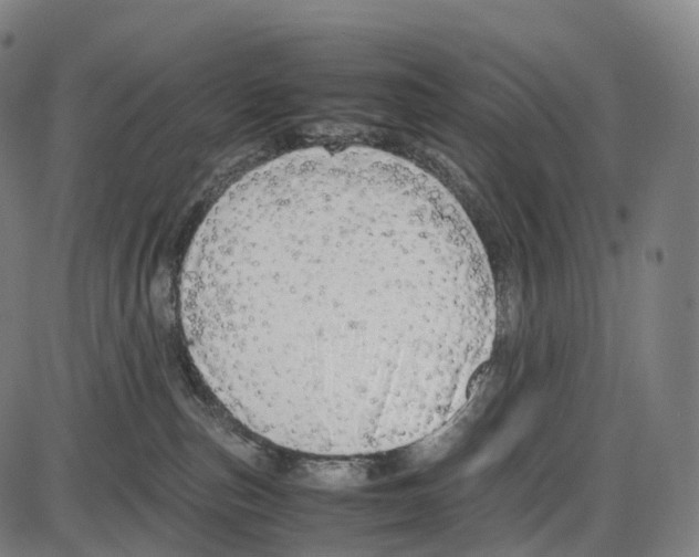 X0000084000187200703161658
